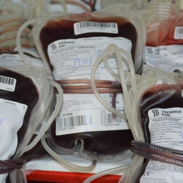 Hemoal Maceió promove Campanha de Doação para o Carnaval