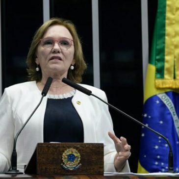 Senadora Zenaide Maia emite parecer favorável ao PL do Piso