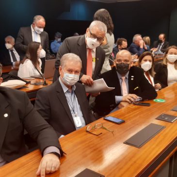 Em audiência pública, Conselhos de Enfermagem defendem Piso Salarial