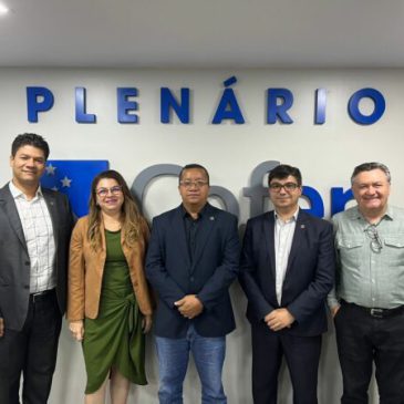 Cofen aprova atualização do Código Eleitoral dos Conselhos de Enfermagem