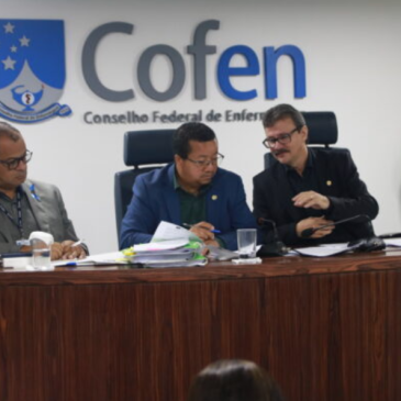 Presidentes dos Conselhos de Enfermagem se reunem em Assembleia