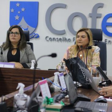 Cofen e Ministério da Saúde realizam oficina sobre dimensionamento